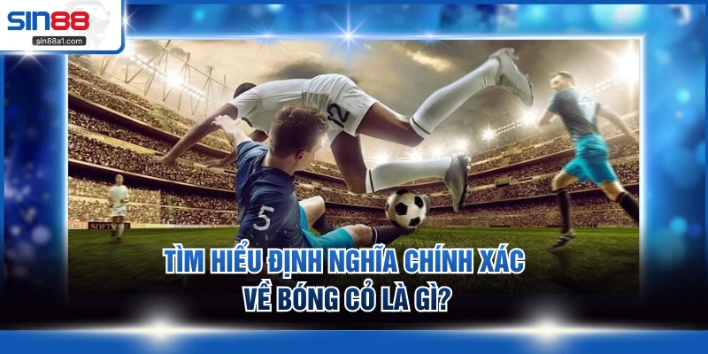 Tìm hiểu định nghĩa chính xác về bóng cỏ là gì?